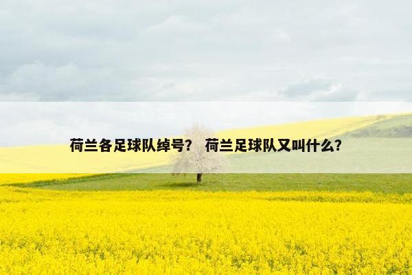 荷兰各足球队绰号？ 荷兰足球队又叫什么？