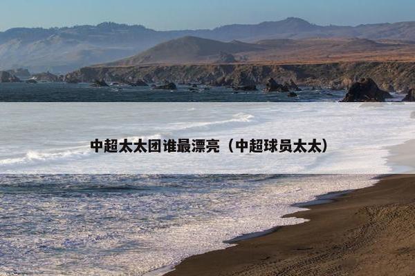 中超太太团谁最漂亮（中超球员太太）