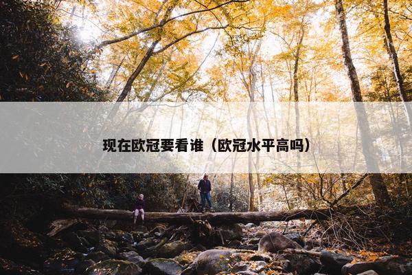现在欧冠要看谁（欧冠水平高吗）