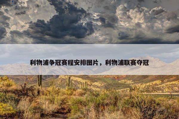 利物浦争冠赛程安排图片，利物浦联赛夺冠