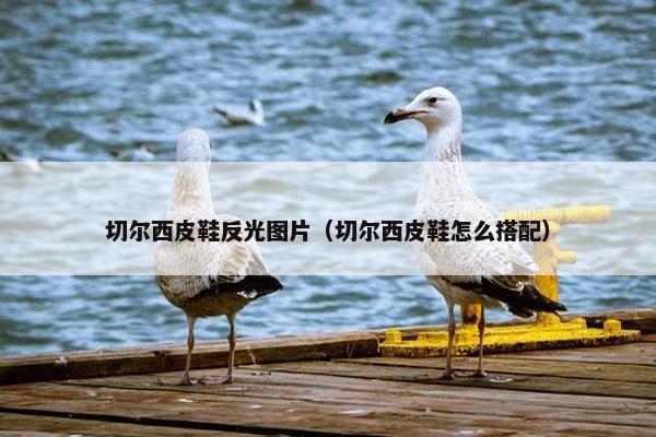 切尔西皮鞋反光图片（切尔西皮鞋怎么搭配）