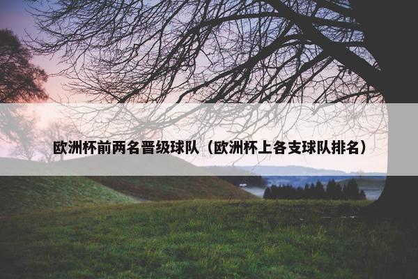 欧洲杯前两名晋级球队（欧洲杯上各支球队排名）