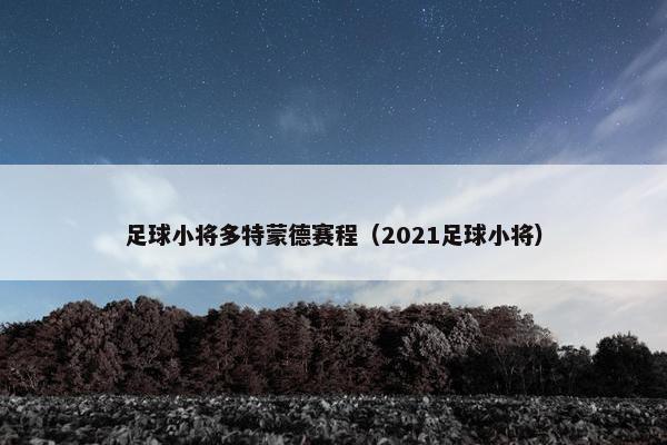 足球小将多特蒙德赛程（2021足球小将）