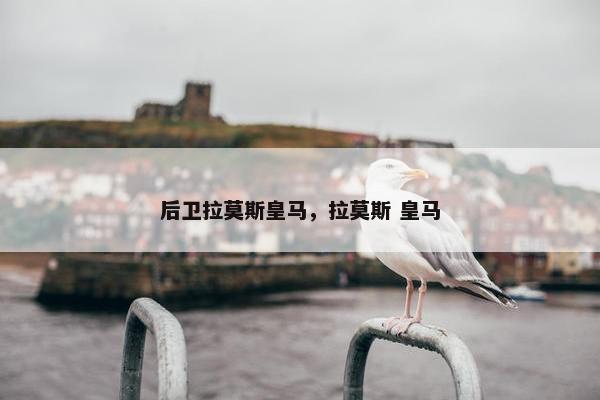 后卫拉莫斯皇马，拉莫斯 皇马