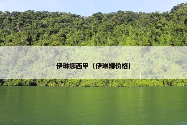 伊琳娜西甲（伊琳娜价格）