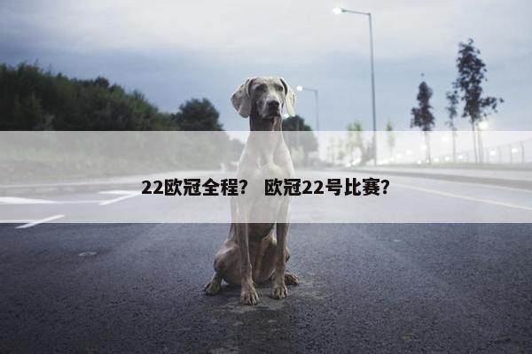 22欧冠全程？ 欧冠22号比赛？