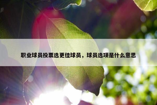 职业球员投票选更佳球员，球员选项是什么意思