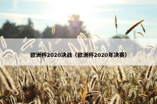 欧洲杯2020决战（欧洲杯2020年决赛）