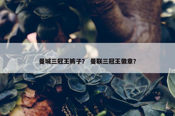 曼城三冠王裤子？ 曼联三冠王徽章？