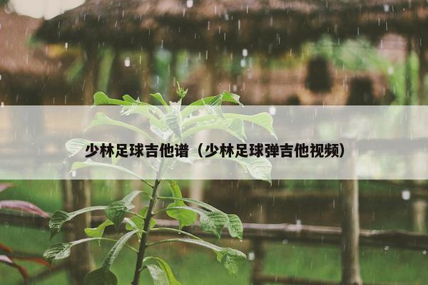 少林足球吉他谱（少林足球弹吉他视频）