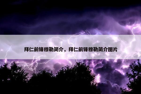 拜仁前锋穆勒简介，拜仁前锋穆勒简介图片