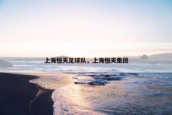 上海恒天足球队，上海恒天集团