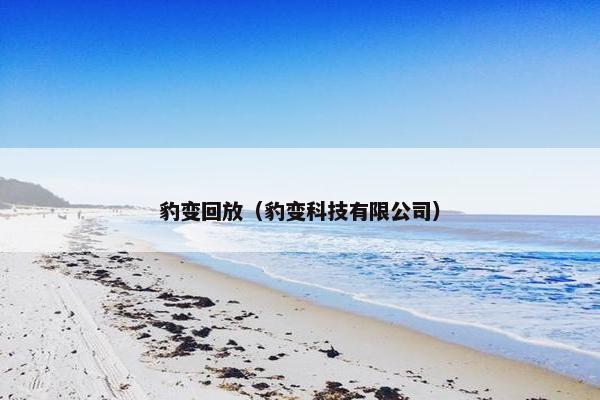 豹变回放（豹变科技有限公司）