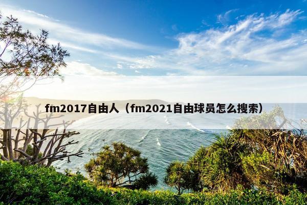 fm2017自由人（fm2021自由球员怎么搜索）