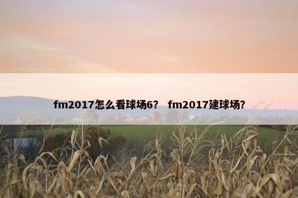 fm2017怎么看球场6？ fm2017建球场？