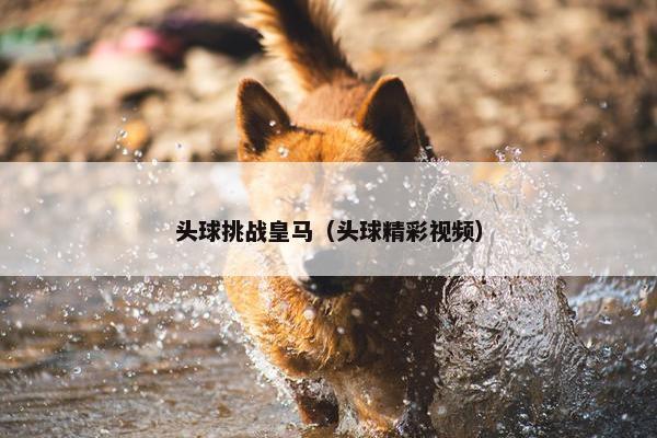 头球挑战皇马（头球精彩视频）