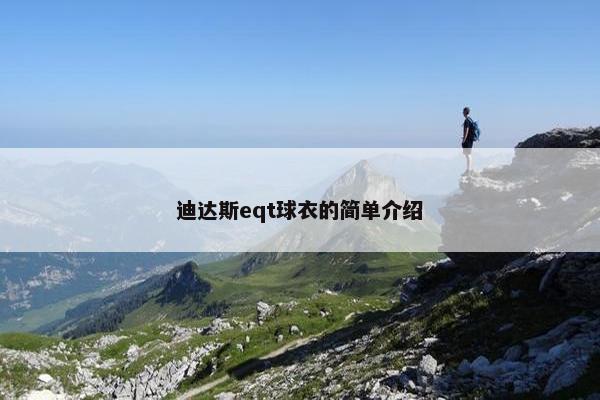 迪达斯eqt球衣的简单介绍