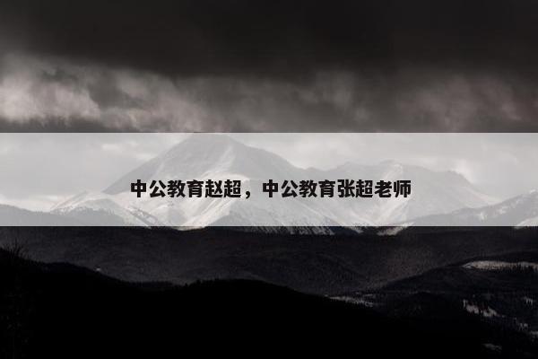 中公教育赵超，中公教育张超老师