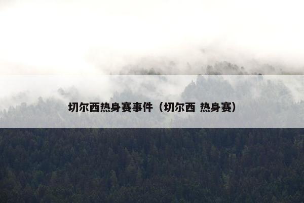 切尔西热身赛事件（切尔西 热身赛）
