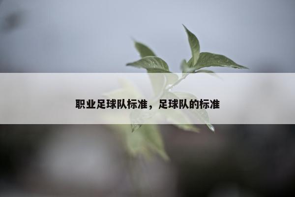 职业足球队标准，足球队的标准