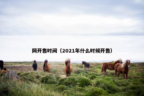 网开售时间（2021年什么时候开售）