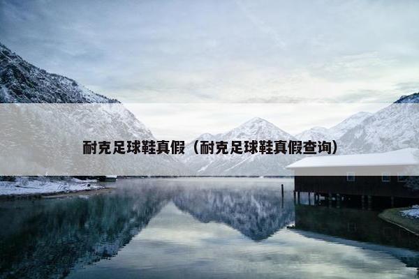 耐克足球鞋真假（耐克足球鞋真假查询）