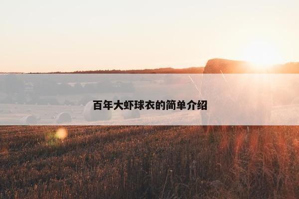 百年大虾球衣的简单介绍
