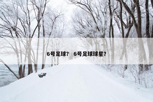 6号足球？ 6号足球球星？