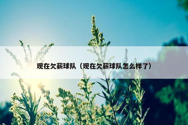 现在欠薪球队（现在欠薪球队怎么样了）