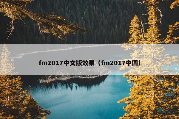 fm2017中文版效果（fm2017中国）