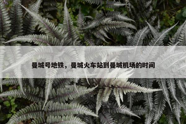 曼城号地铁，曼城火车站到曼城机场的时间