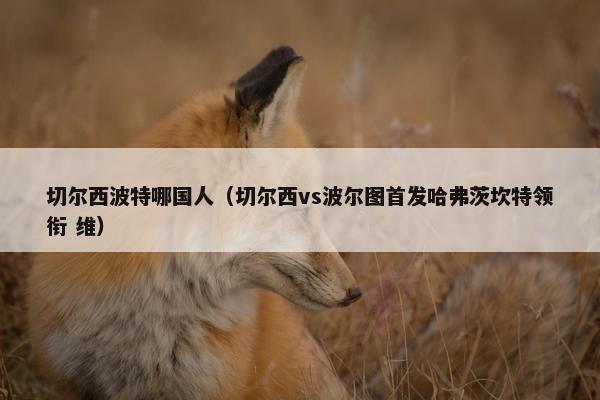 切尔西波特哪国人（切尔西vs波尔图首发哈弗茨坎特领衔 维）