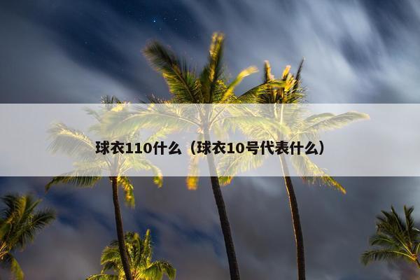 球衣110什么（球衣10号代表什么）