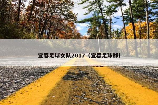 宜春足球女队2017（宜春足球群）