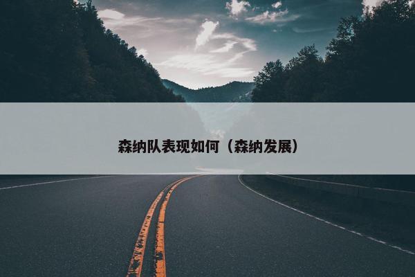 森纳队表现如何（森纳发展）