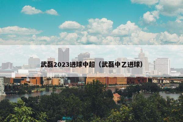 武磊2023进球中超（武磊中乙进球）
