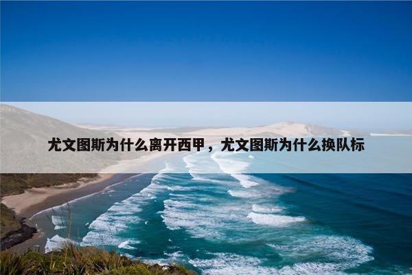 尤文图斯为什么离开西甲，尤文图斯为什么换队标