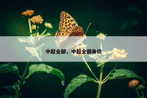 中超全部，中超全部身价