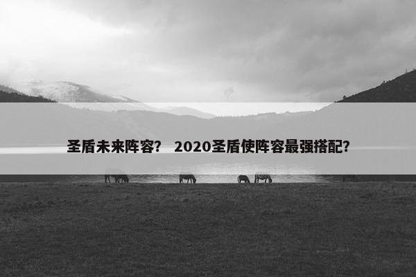 圣盾未来阵容？ 2020圣盾使阵容最强搭配？