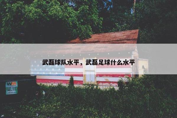 武磊球队水平，武磊足球什么水平
