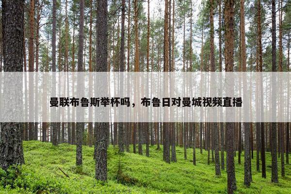 曼联布鲁斯举杯吗，布鲁日对曼城视频直播