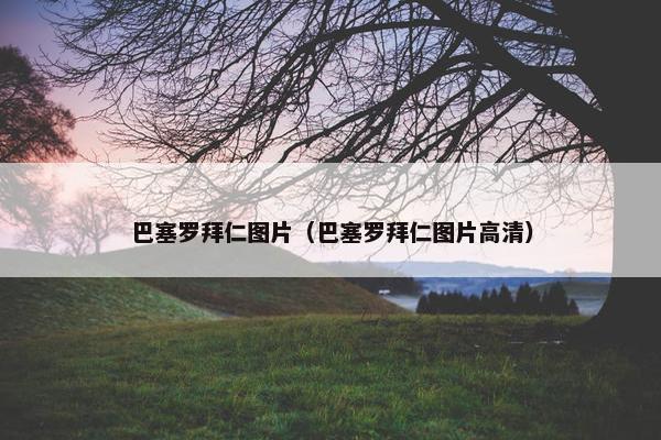 巴塞罗拜仁图片（巴塞罗拜仁图片高清）
