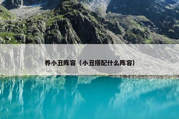 养小丑阵容（小丑搭配什么阵容）