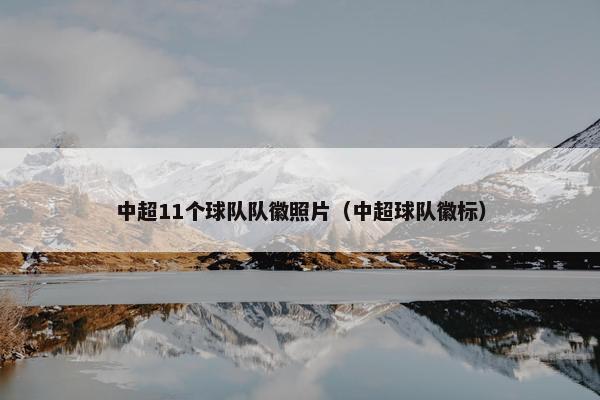 中超11个球队队徽照片（中超球队徽标）