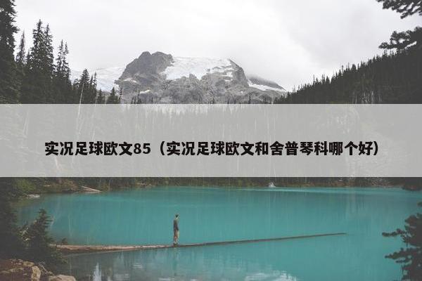 实况足球欧文85（实况足球欧文和舍普琴科哪个好）