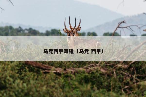 马竞西甲双雄（马竞 西甲）