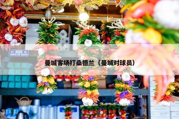 曼城客场打桑德兰（曼城对球员）