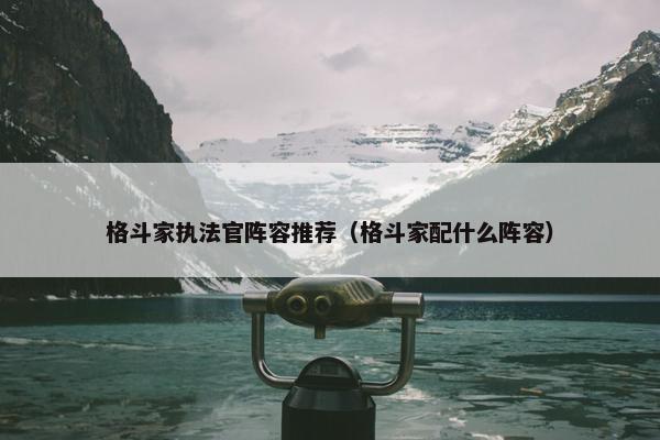 格斗家执法官阵容推荐（格斗家配什么阵容）