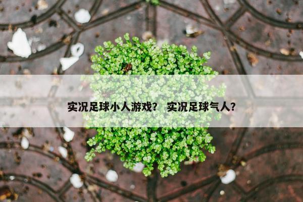 实况足球小人游戏？ 实况足球气人？