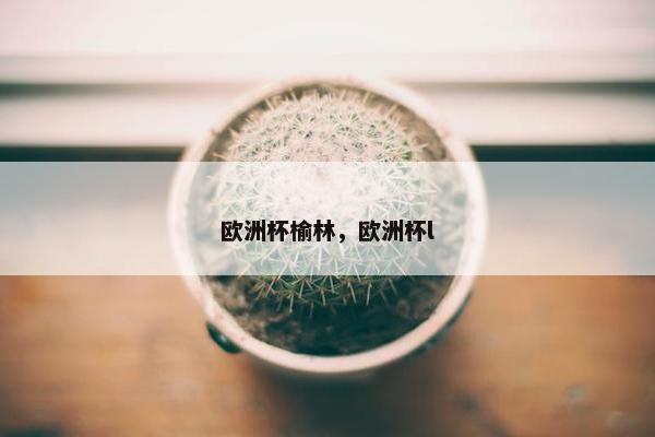 欧洲杯榆林，欧洲杯l